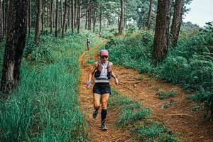 BIB: 
                            <button type="button" onclick="openModal(25657268)" class="btn btn-primary btn-sm float-right btn-popup" data-toggle="modal" data-target=".modal-high-quality">
                        <i class="fas fa-shopping-cart"></i> Add to Cart
                    </button>
                                            <button type="button" onclick="isThisMe(25657268, true)" class="btn btn-success btn-sm float-right btn-popup btn-isme hidden" data-toggle="tooltip" data-placement="bottom" title="นี่คือรูปของคุณใช่ไหม คลิกที่นี่เพื่อเอาเข้าอัลบั้ม">
                        <i class="fas fa-plus"></i> Add to album
                    </button>
                    <button type="button" onclick="isThisMe(25657268, false)" class="btn btn-warning btn-sm float-right btn-popup btn-isnotme hidden">
                        <i class="fas fa-ban"></i> Remove from album
                    </button>